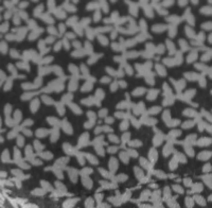 Chill Flowers Sheet Set>Kenneth Cole
