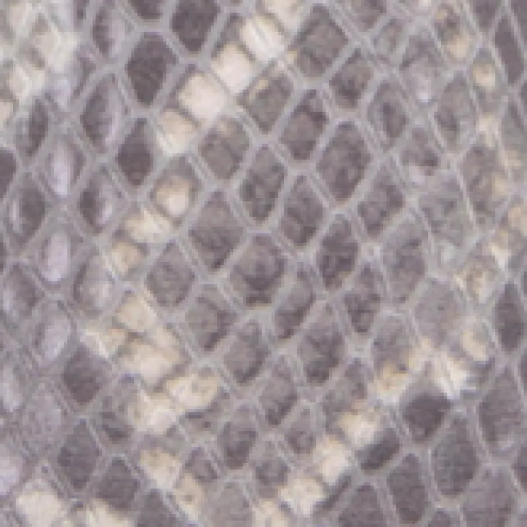GENTLE SOULS - Dionne Snakeskin Leather Heel>Kenneth Cole