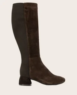 GENTLE SOULS - Emily Micro Suede Stretch Boot>Kenneth Cole Best
