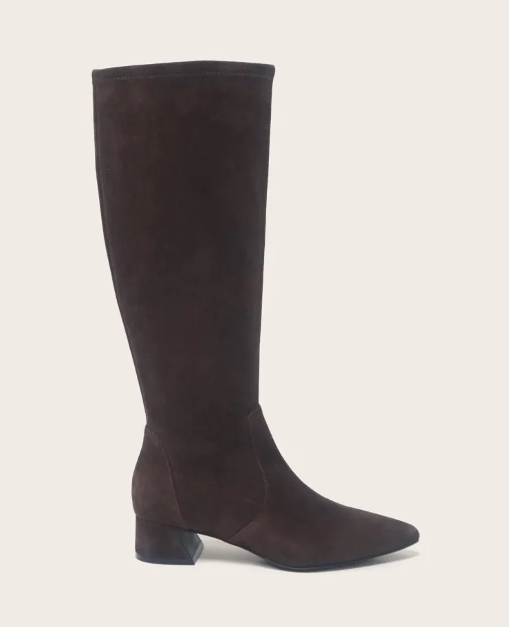 GENTLE SOULS - Gallway Micro Suede Tall Stretch Boot>Kenneth Cole