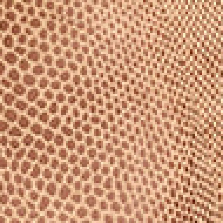 Snake Embossed Three Button Contoured Jacket>Kenneth Cole